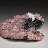 Apocalypse Unfolding Vi, Bone China, Clay, Glaze, 7 X 18 X 20 Cm, Photo Andrew Sikorski 1.1