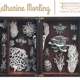 Katharine Morling