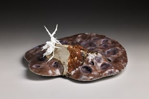 Apocalypse Unfolding Iii, Bone China, Clay, Glaze, 8 X 20 X 20 Cm, 2024, Photo Andrew Sikorski 1.1