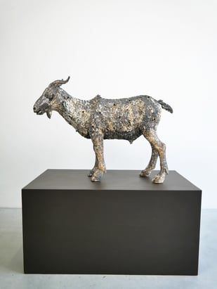 Mvd V2605 the Self Forgiving Scapegoat Left Side Website
