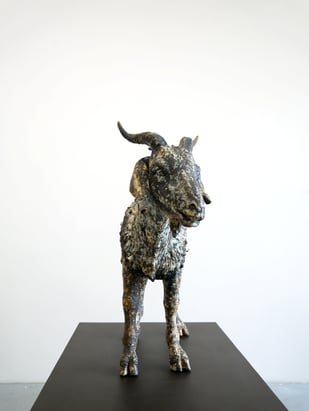 Mvd V2605 the Self Forgiving Scapegoat Front Website