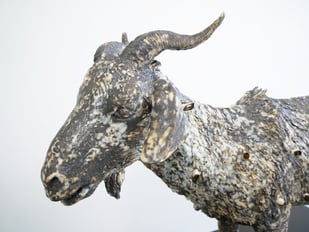 Mvd V2605 the Self Forgiving Scapegoat Head Website