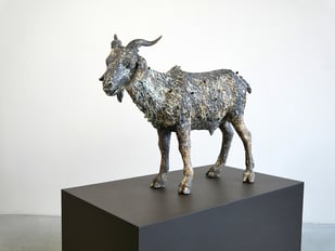 Mvd V2605 the Self Forgiving Scapegoat Three Quarter Website