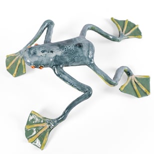 Ff Frog5 2.jpg