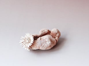 Salt-cellar-with-2-Daisies-2011-5x10x75cm-stoneware-goldluster-glaze-l
