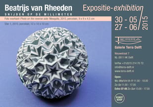 2015-06 Beatrijs van Rheeden: slicing at millimeter scale