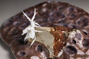Apocalypse Unfolding Iii, Bone China, Clay, Glaze, 8 X 20 X 20 Cm, 2024, Photo Andrew Sikorski 1.3