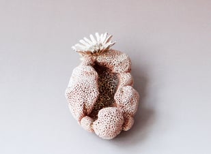 Salt-cellar-with-2-Daisies-2011-5x10x75cm-stoneware-goldluster-glaze-t