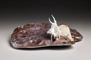 Apocalypse Unfolding Iii, Bone China, Clay, Glaze, 8 X 20 X 20 Cm, 2024, Photo Andrew Sikorski 1.2