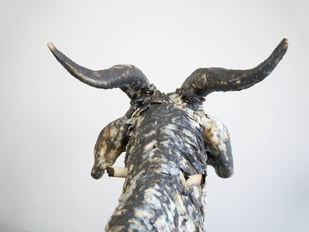 Mvd V2605 the Self Forgiving Scapegoat Head From the Back Website